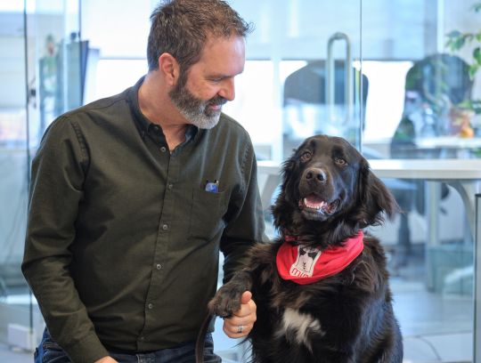 Mira dog in service with owner at TIBO headquarter office